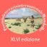 XLVI edizione - Il Regolamento XLVI edizione - Il Regolamento